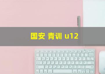 国安 青训 u12